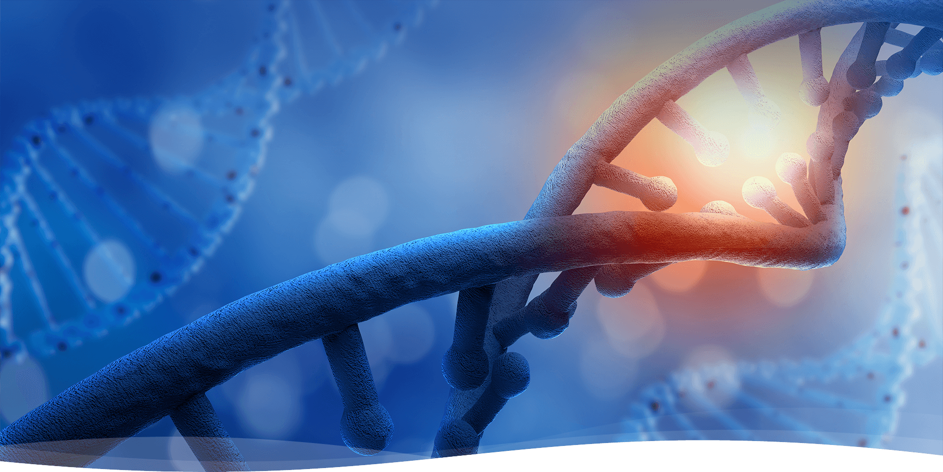 致力于成为最优质产品和效劳供应商