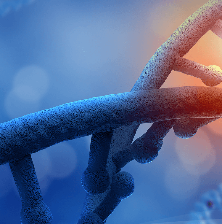 致力于成为最优质产品和效劳供应商