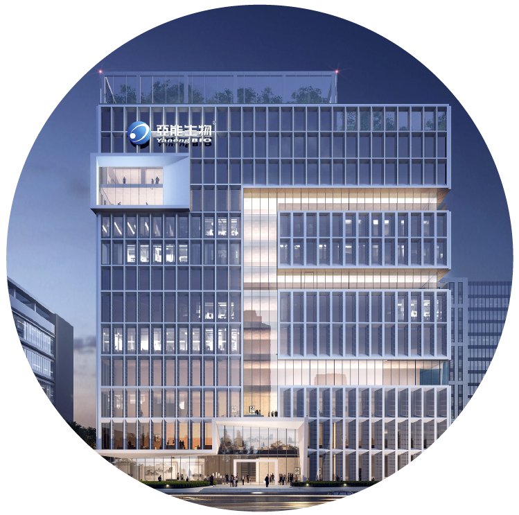 全讯800cc大白菜(中国)有限公司官网