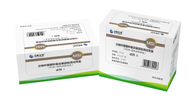 分枝杆菌菌种判断基因检测试剂盒